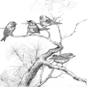 mersin en iyi resim kursu